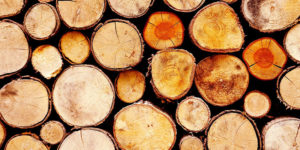 Jakie drewno do wędzenia wybrać?